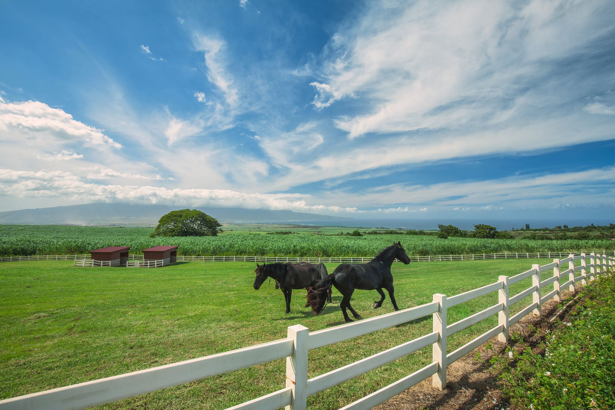 Real Estate Photography